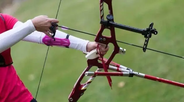 9 Best Brands For Compound Bows