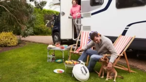15 Must-Have Dog RV Accessories